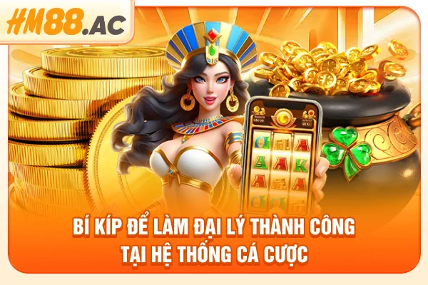 Bí kíp để làm đại lý thành công tại hệ thống cá cược